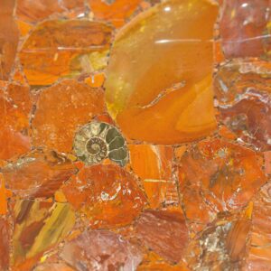 Red Jasper Fossil