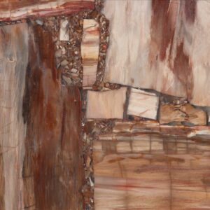 Retro Petrified Wood