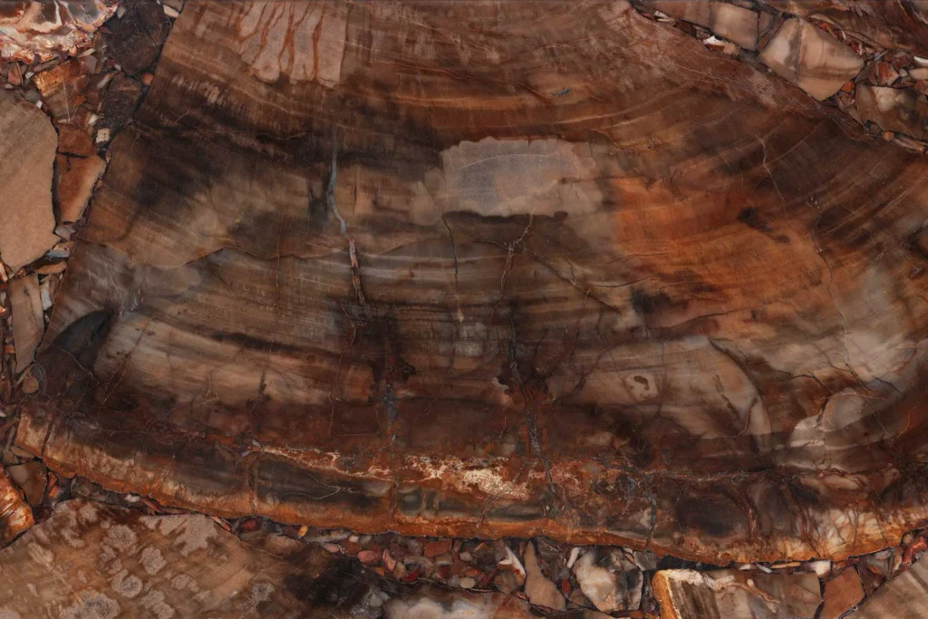 Edelstein Petrified Wood