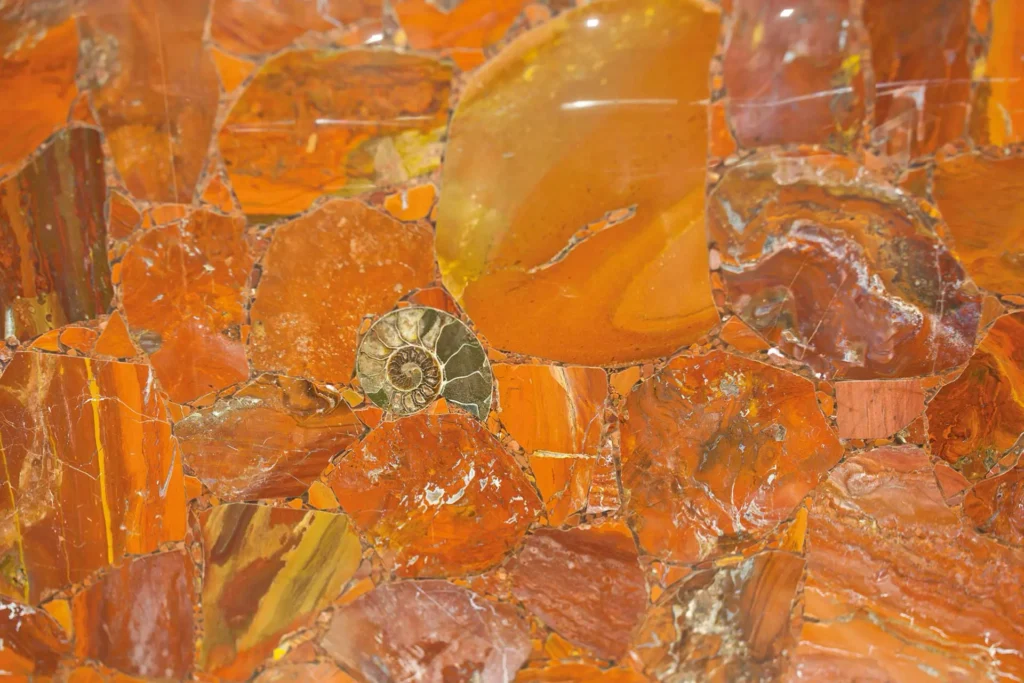 Edelstein Red Jasper Fossil