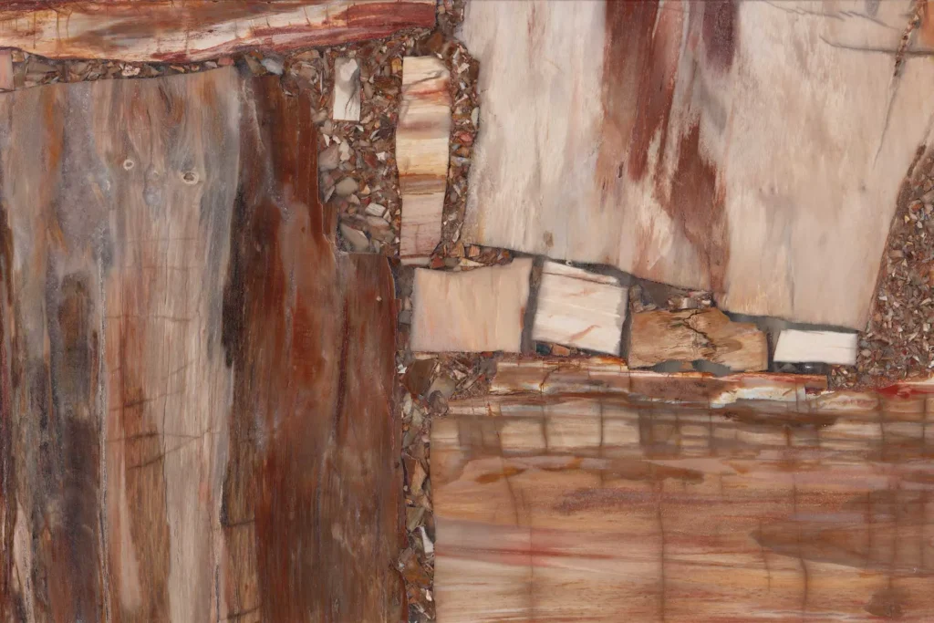 Edelstein Retro Petrified Wood